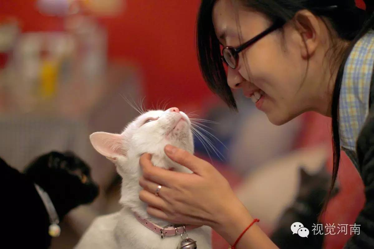 爱与哀愁粤语版谭咏麟,爱与哀愁怀旧经典无损音源版