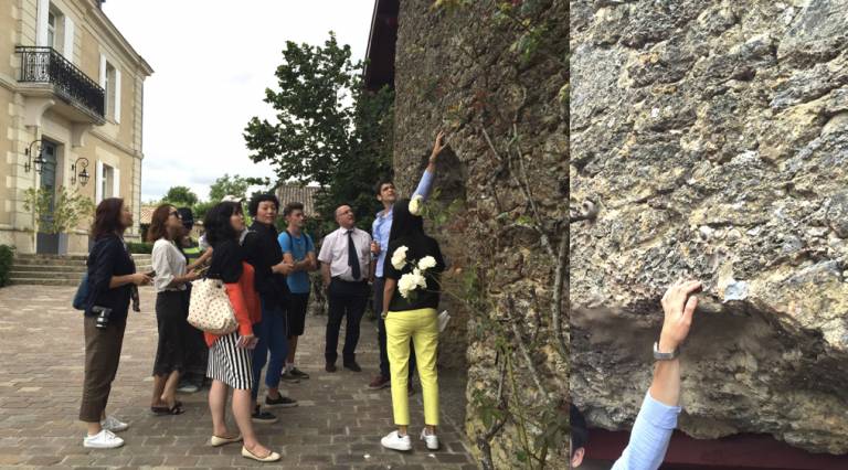 波尔多名庄酒庄,波尔多有名的酒庄