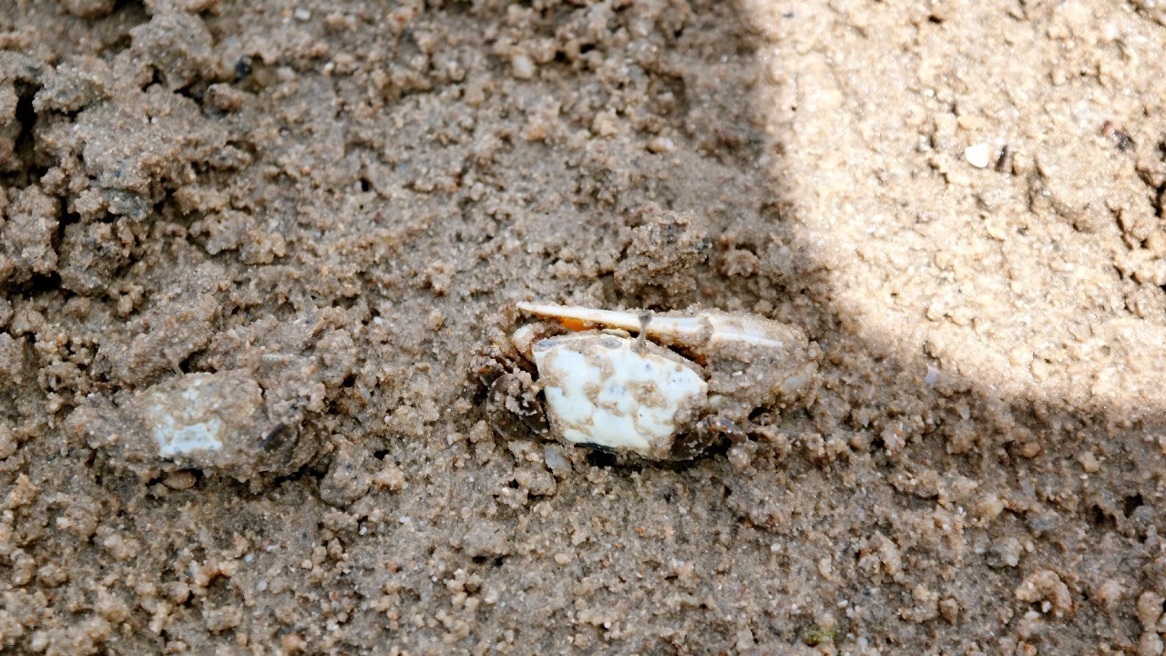 三亚瑞吉大酒店攻略,三亚瑞吉度假酒店房间推荐