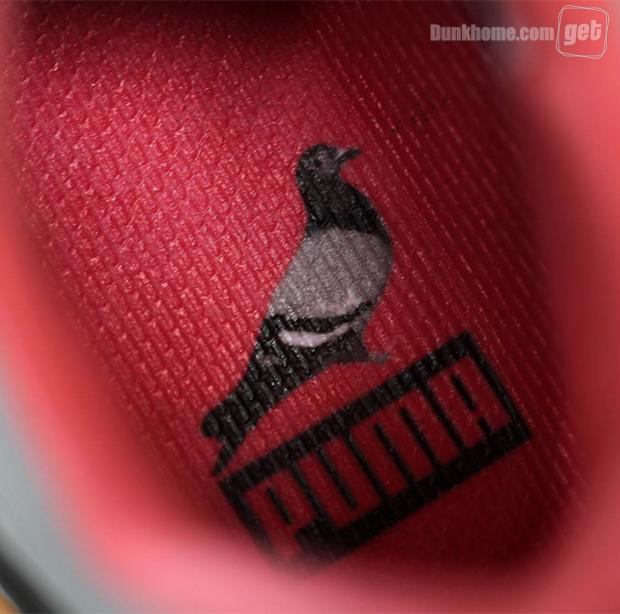 鸽王新作:StaplexPUMA“Pigeon”系列近赏