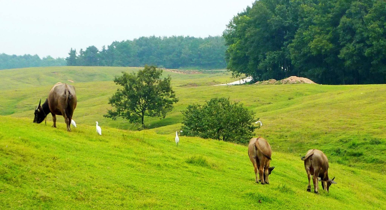 安徽滁州10大最美乡村,滁州第二批美丽乡村名单