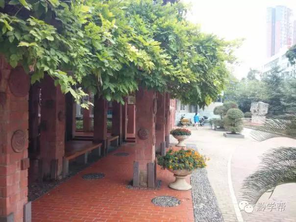 学生在学习中的感悟,在一所很差的中学读书是什么体验