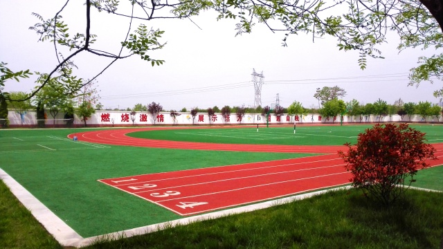 国际港务区有什么好的公办初中吗,国际港务区哪个小学最好