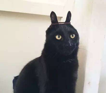 榛戝柕杩囩▼閲嶈杩樻槸缁撴灉閲嶈,榛戝柕浠ュ悗杩橀渶涓嶉渶瑕侀伩瀚屼簡