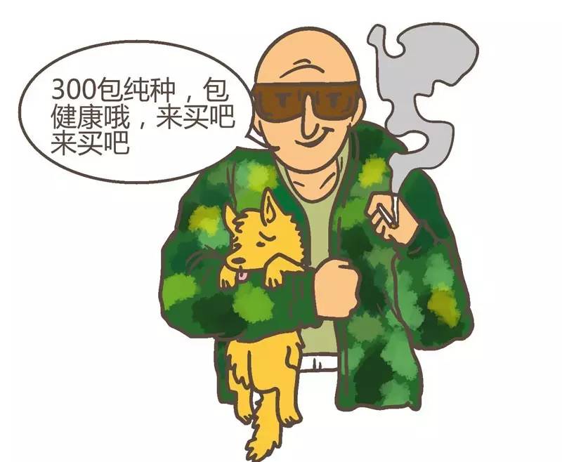 上当的人,新型买狗骗局