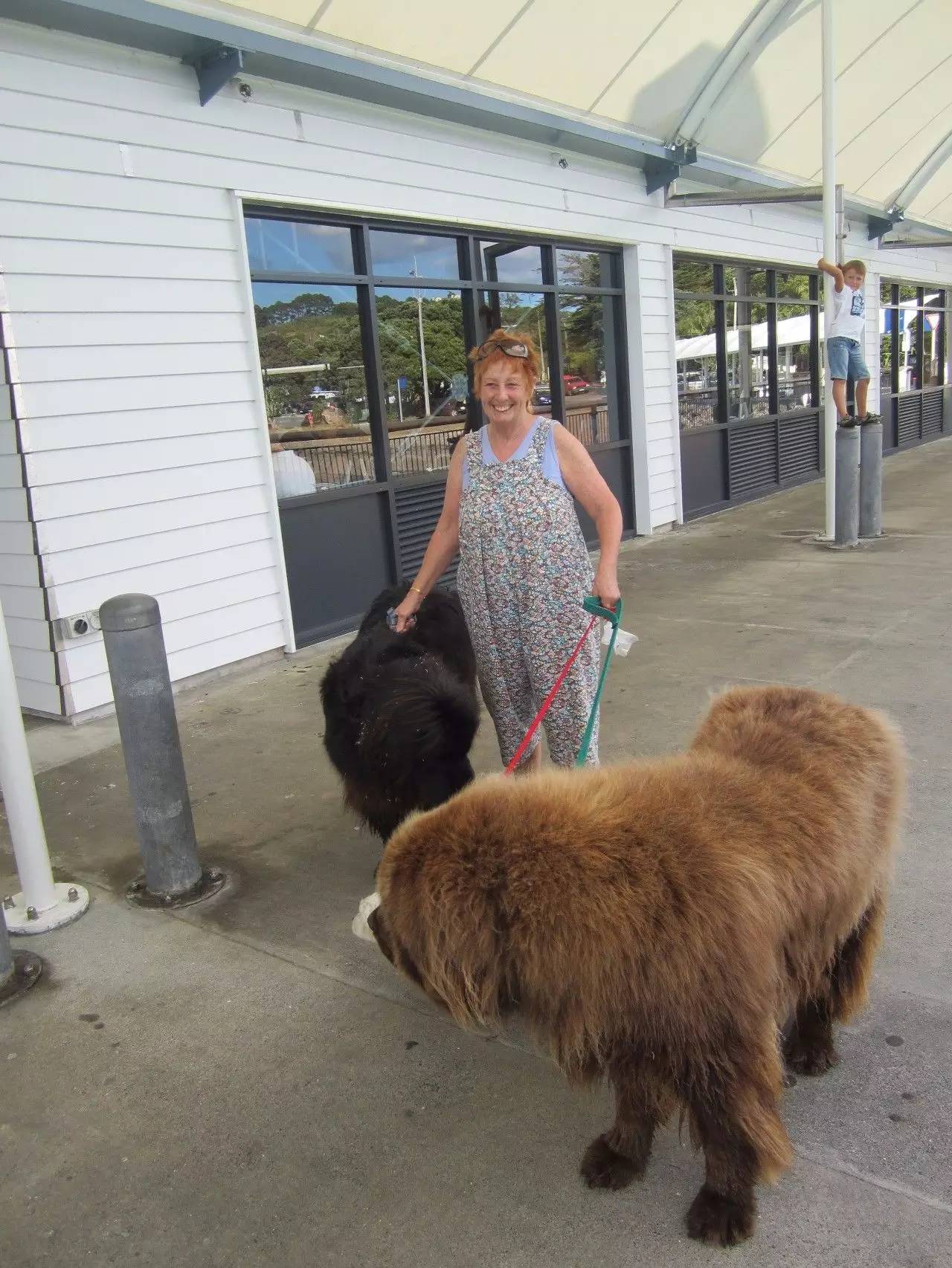 去国外一定会被种族歧视吗,在国外遇到种族歧视怎么办