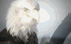 足球俱乐部助力,足球俱乐部力量训练