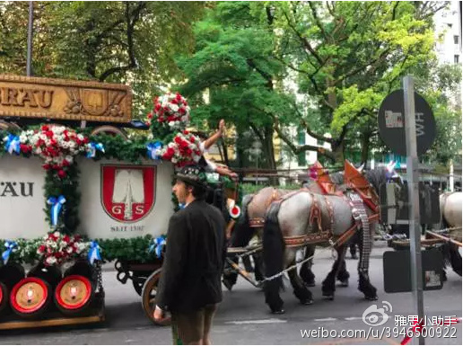 留英小学生归国之路,留英学生出去玩