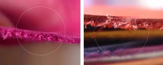 怎么辨别皮革的真假,皮革分类以及辨别标准