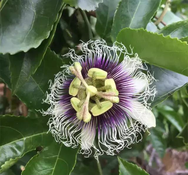 港南区哪里好玩,港南市哪里好玩