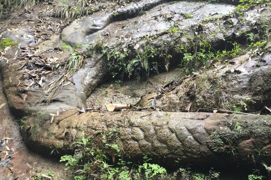 银元宝发掘,中国的宝藏全部