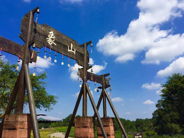 深秋来红叶谷图片,秋日遇见最美紫色花海