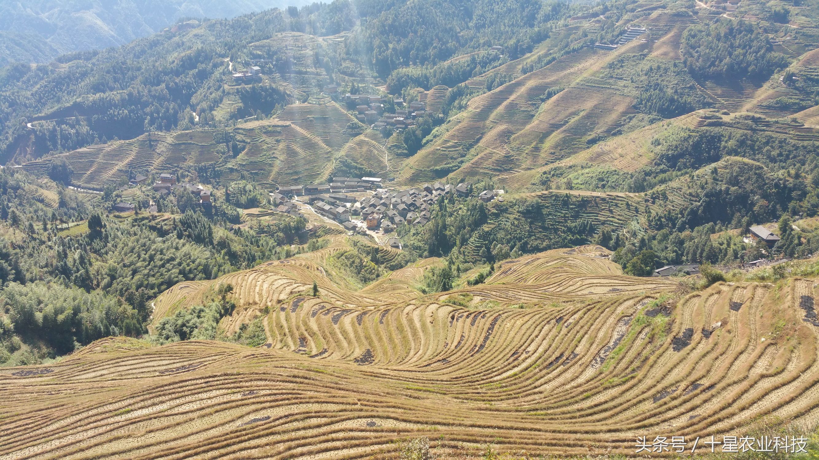 龙胜瑶族大寨龙脊梯田，原创拍摄几十图，有美女出镜哦！