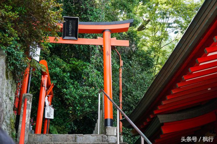 酷ma萌陪伴机器人熊本熊,酷ma萌和熊本熊
