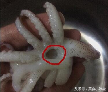 清洗鱿鱼时要把外皮剥掉吗,清洗整条鱿鱼