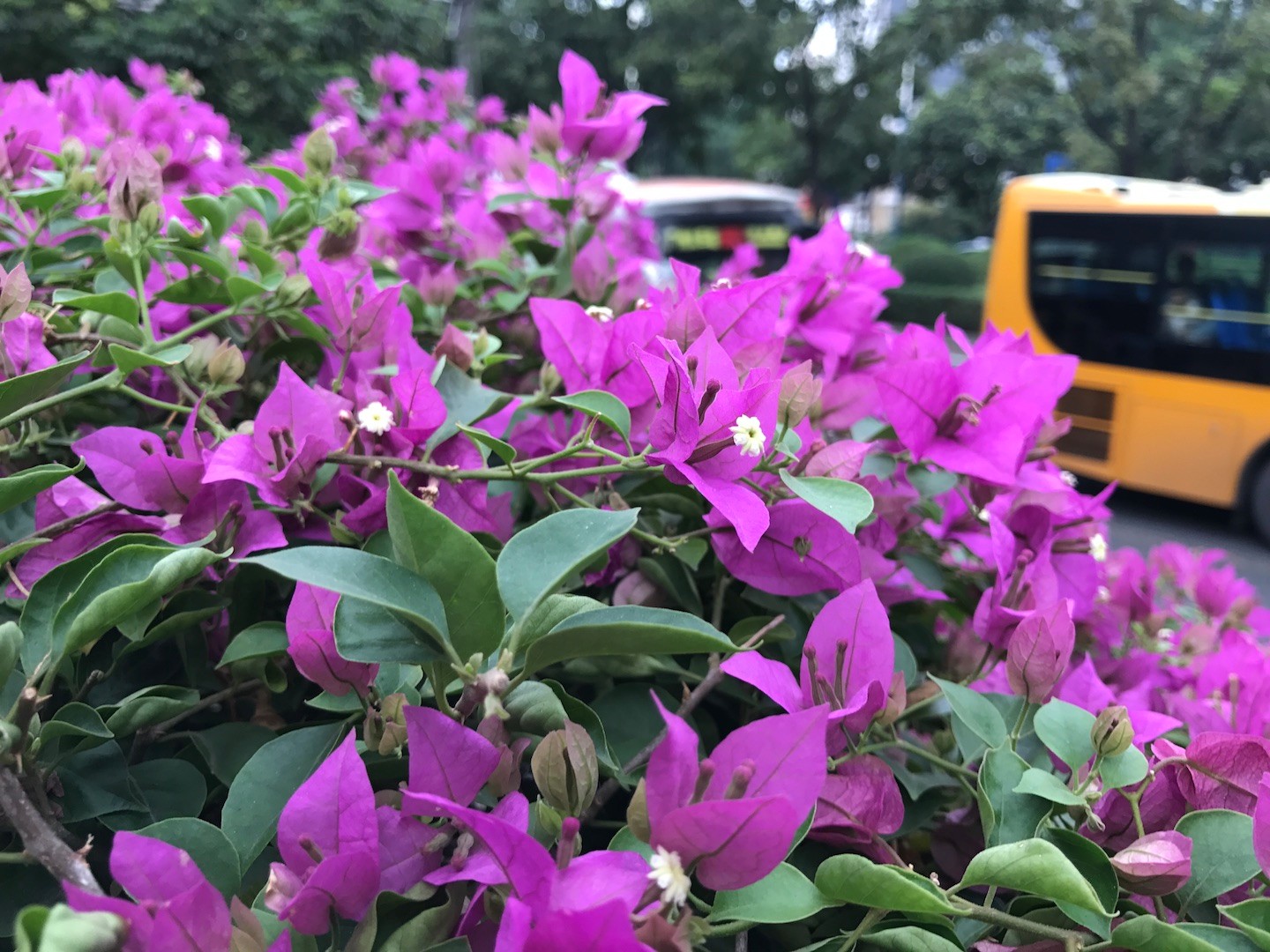 锤子m1l游戏评测视频,锤子m1l游戏测评