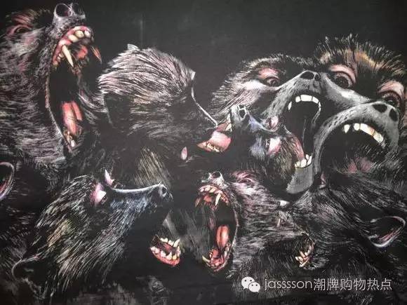 复合动物进化论,达尔文动物进化论观点