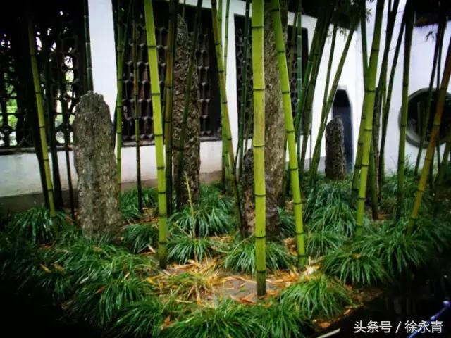 一条街一处景尽显烟火气,一条街古色古香