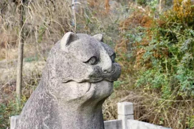 宁波博物馆里都有什么文物,宁波的文物记忆