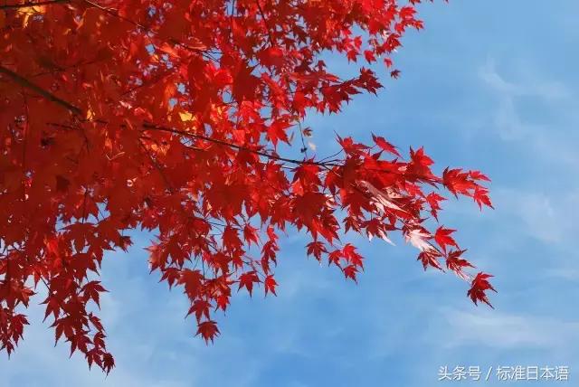 标准日本语第11课基本课文3,标准日本语初级第11课课件