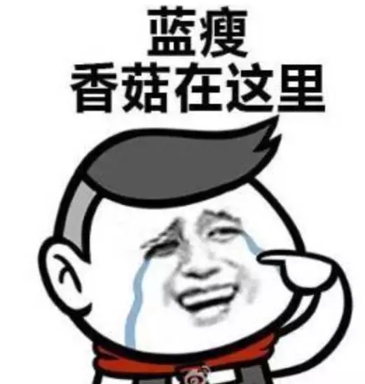 ysl星辰限量值不值得买,ysl对于女生来说意味着什么