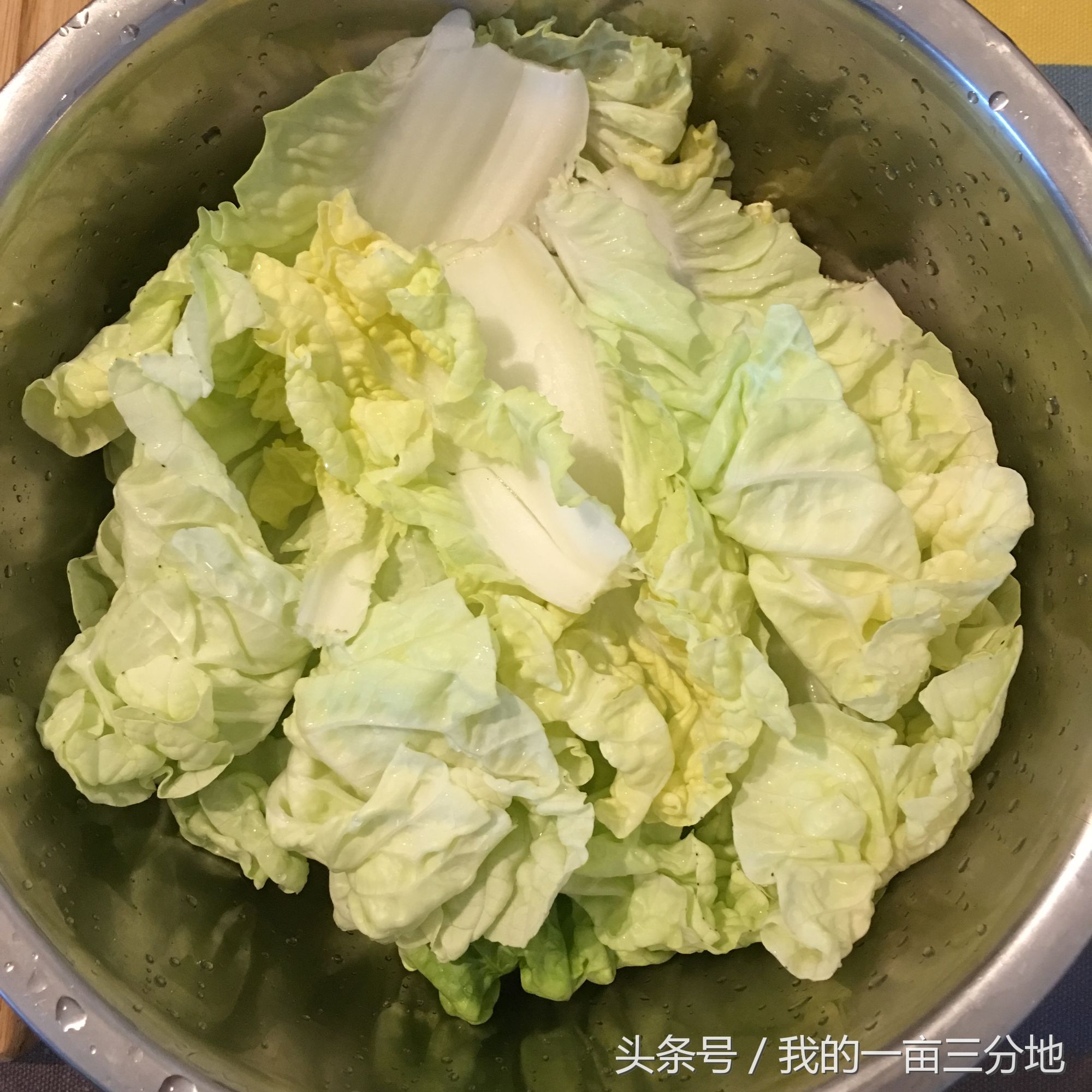 豆腐海带白菜汤的做法大全,海带金针菇白菜汤的做法大全