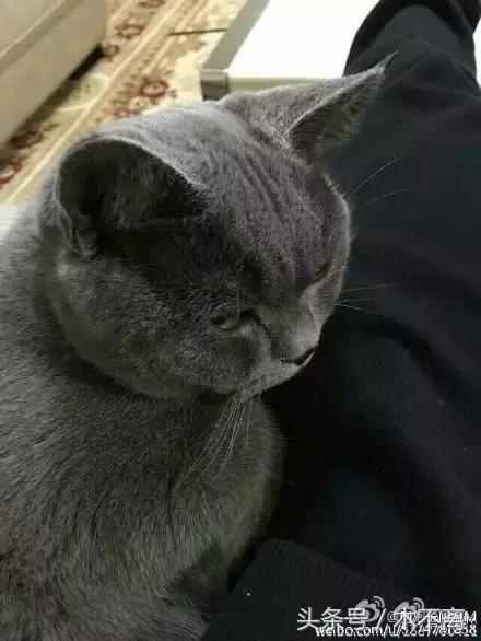 鹿晗对你心动的瞬间,鹿晗的对你爱不完