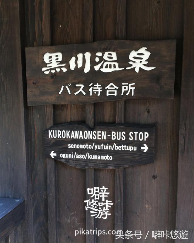 熊本熊游玩,日本熊本熊旅游