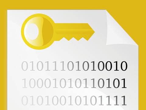 敲诈勒索病毒运行全过程,勒索病毒近期案件