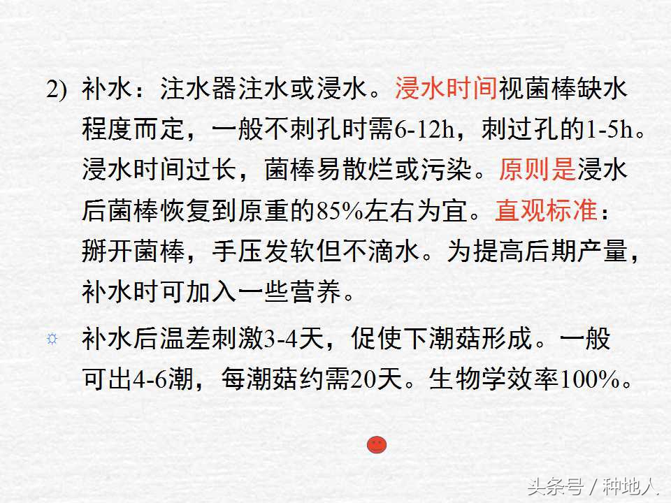 香菇栽培实用技术教案,屋顶香菇栽培