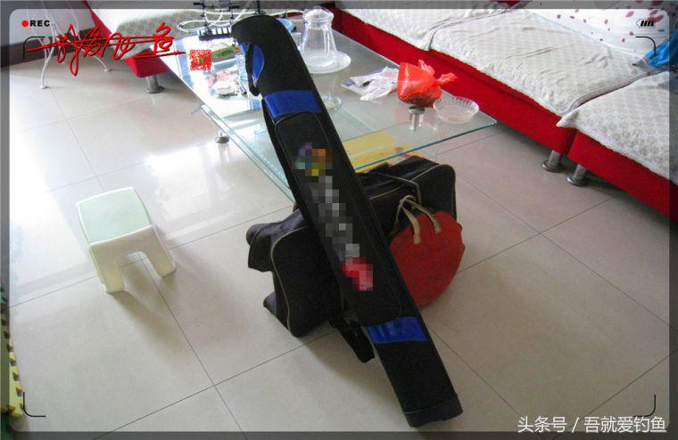 原创我爱飞鱼耍耍耍