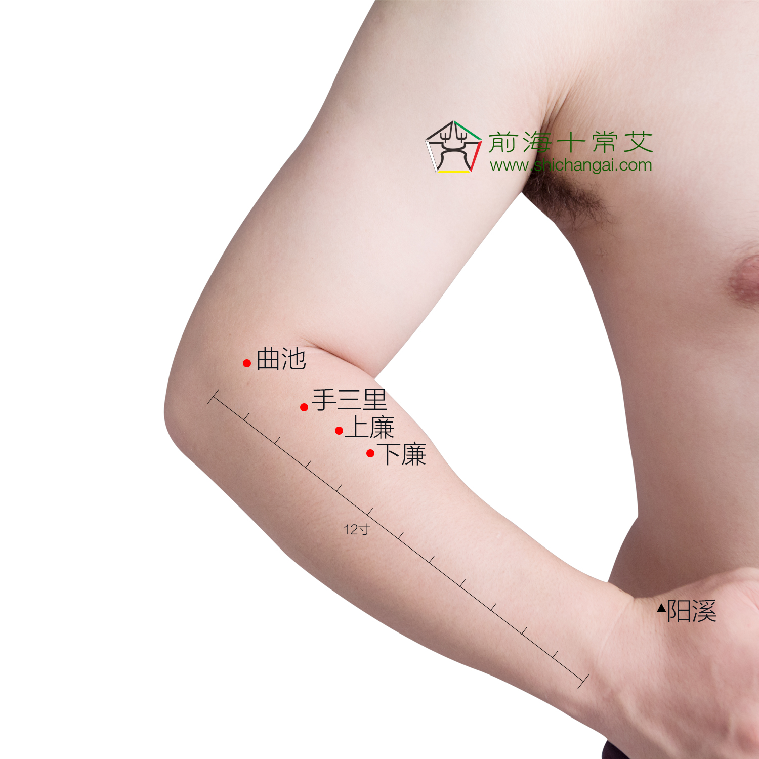 秋天防鼻炎的最佳方法,鼻炎灸艾灸灸什么部位