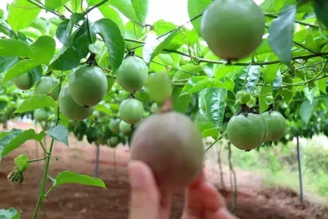 港南区哪里好玩,港南市哪里好玩