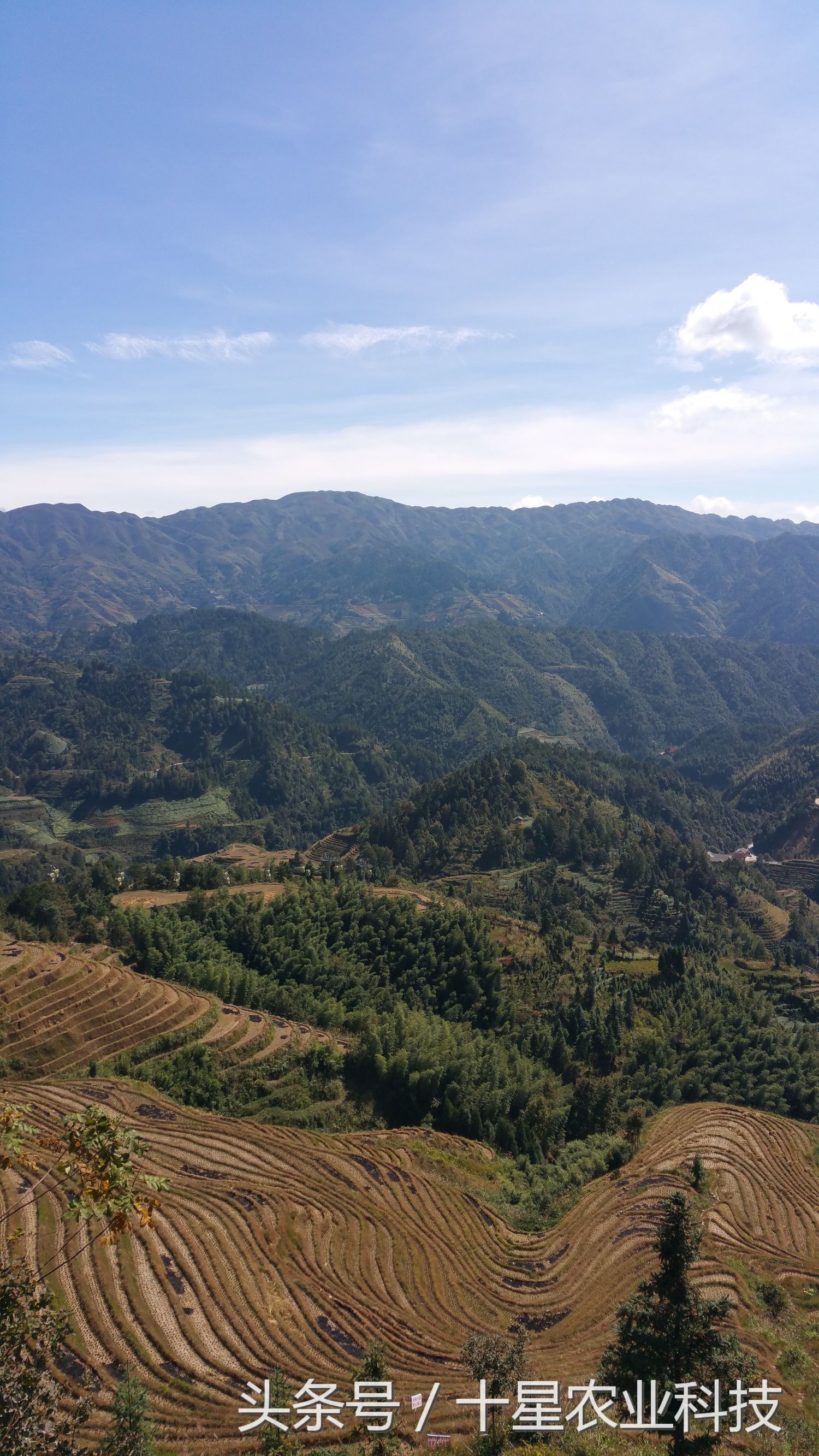 龙胜瑶族大寨龙脊梯田，原创拍摄几十图，有美女出镜哦！