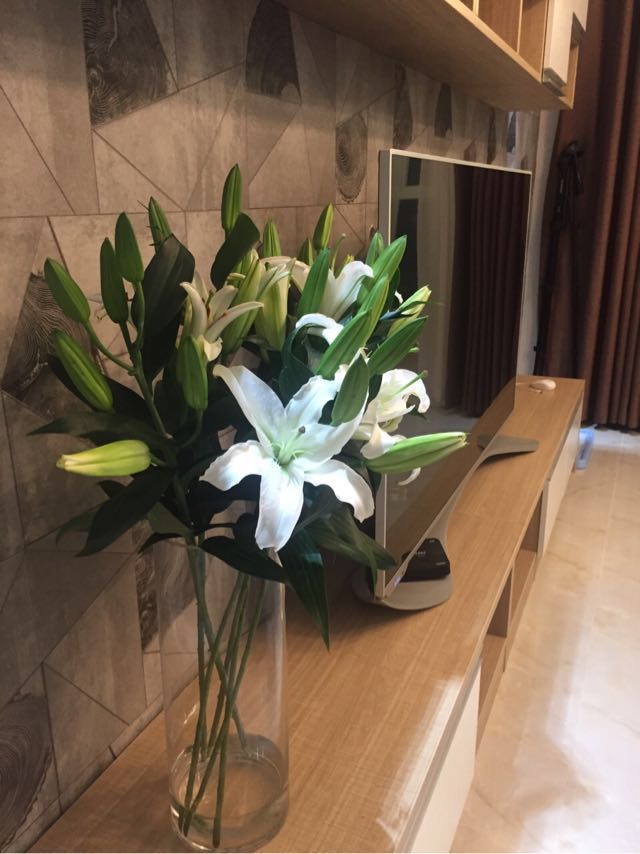 小姨子婚房装修,小姨子家装修房子