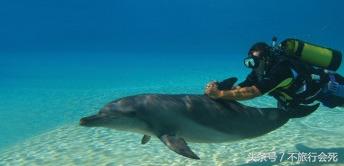 阿联酋旅游去哪个城市,阿联酋是旅游好去处吗为什么