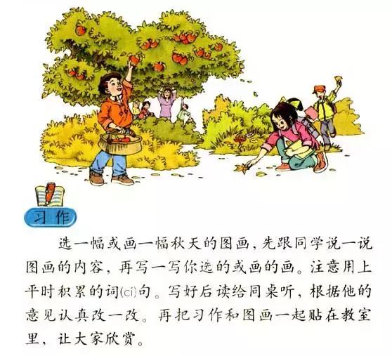 三年级写作文美丽的秋天,我爱美丽的秋天三年级作文