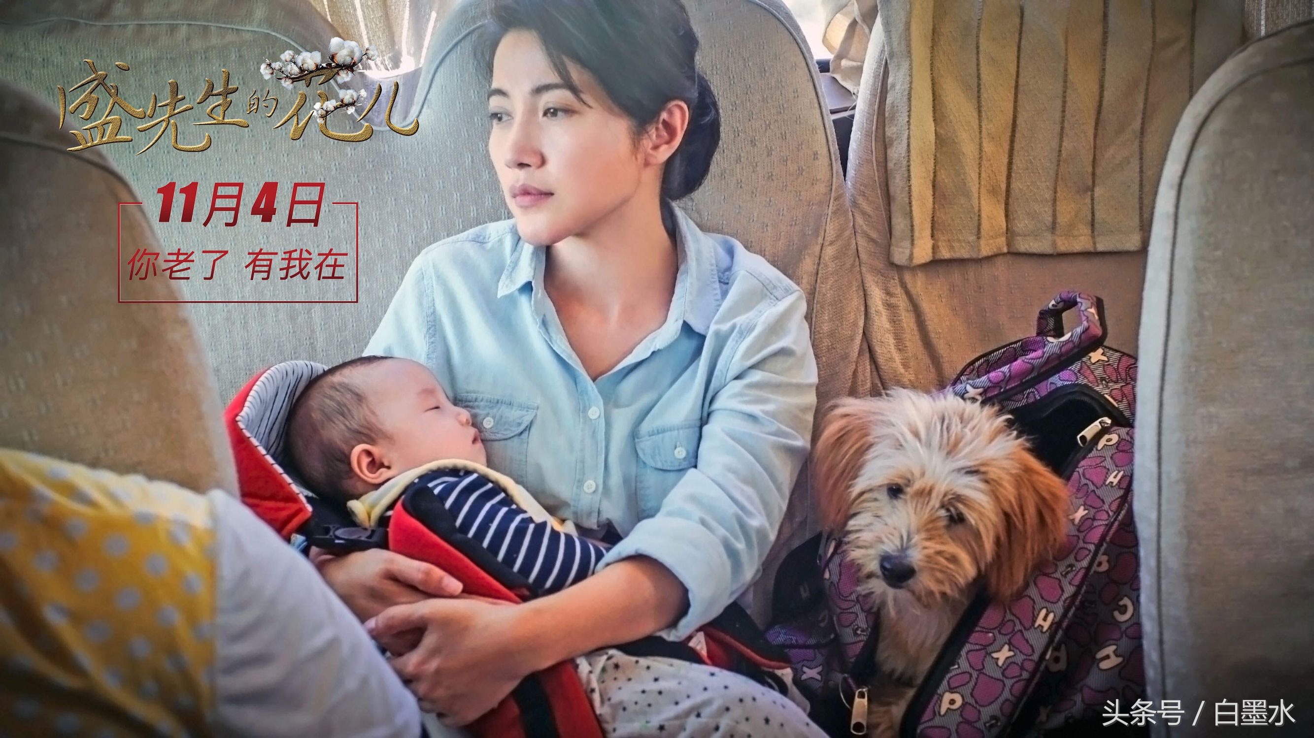 霍建华秦海璐发布会,霍建华秦海璐演的电视剧