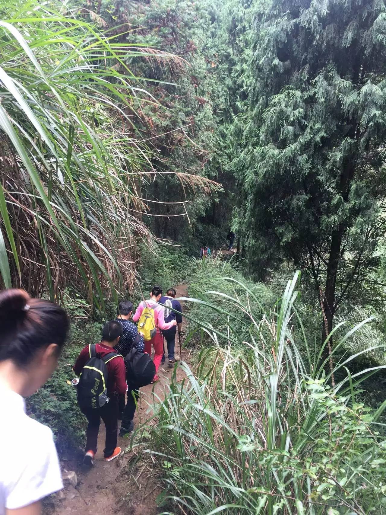 台州公盂徒步攻略,仙居公盂村一日徒步攻略