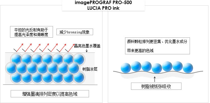 佳能12色打印机图片,佳能彩色打印机选购