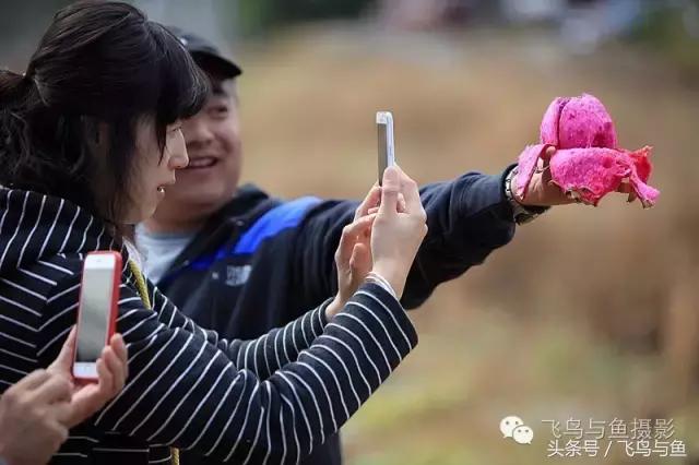 最好的旅游就是陪伴,一场美好的旅行是爱的陪伴