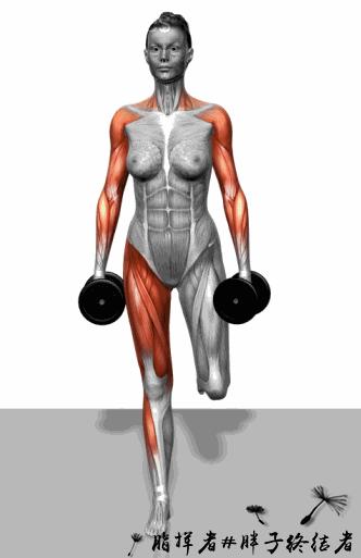 健身应该先练力量吗,哑铃大肌肉群增肌训练