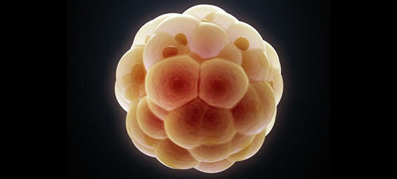 备孕妈妈测出怀孕需要做什么,生化妊娠多久后可以再次备孕