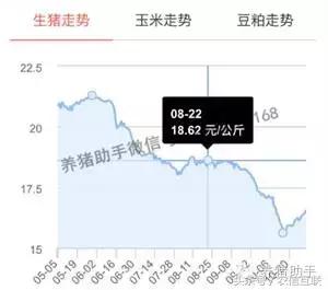 猪价上涨养猪人身价倍增,猪价暴涨带动什么