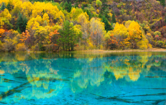 十大拍婚纱照地点冬季,最适合拍婚纱照的地方