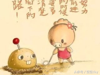 满城皆是黄焖鸡，何去何从