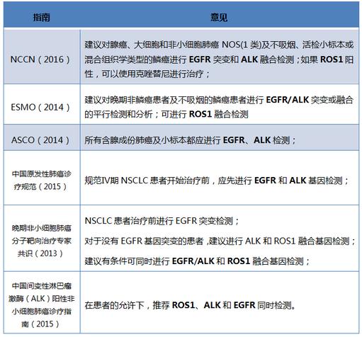 肺癌egfr基因突变用什么靶向药物,肺癌egfr突变最新靶向药