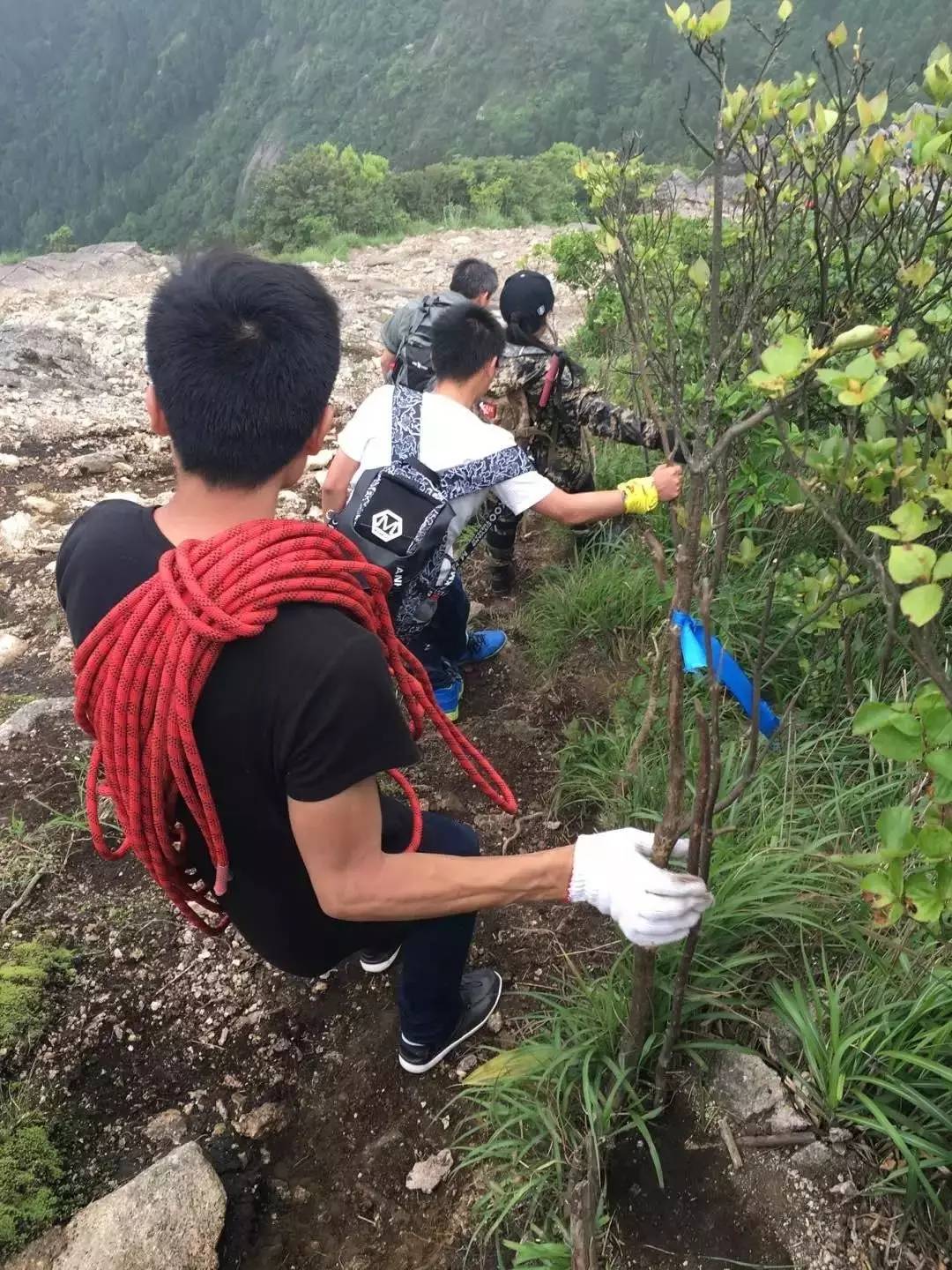 温州雁荡山徒步攻略,雁荡四尖徒步路线