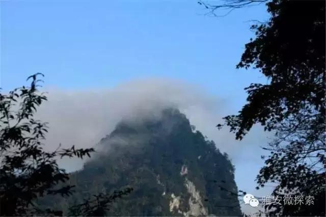 最美的季节,醉美的季节原唱视频