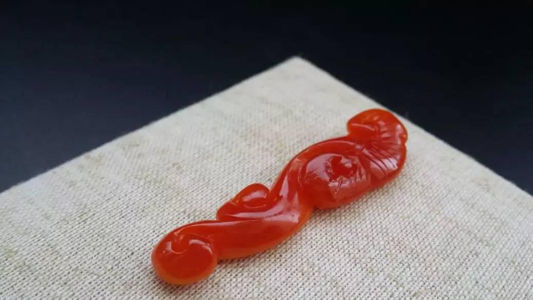 砗磲的基本知识,正确保养砗磲的方法